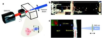 Fig. 3 — Figure 3: Metasurface trapping setup. a, Overview of trapping and imaging. A laser beam at λ=840 nm passes through the metasurface and then a 3 × 3