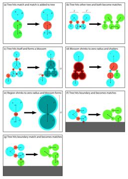 Fig. 4 — Figure 4: The main events that change the structure of alternating trees. For clarity, the background detector graph has been omitted. Each node cor…