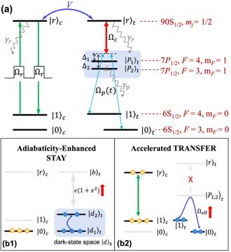 Fig. 1 — Figure 1: Illustration of EIT-based fast adiabatic CNOT gates with HISs. (a) shows the atomic energy levels in e.g., Cs atoms. The control qubit ato…