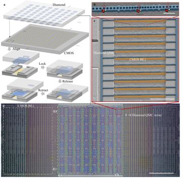 Fig. 2 — Figure 2: Fabrication. a, Schematic representation of the lock-and-release heterogeneous integration process employed to transfer the quantum microc…