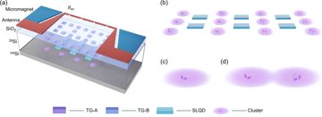 Fig. 1 — Figure 1: Physical schematic diagram of a quantum processor based on the donor cluster scheme. (a) The donor cluster array is positioned in the 28Si…