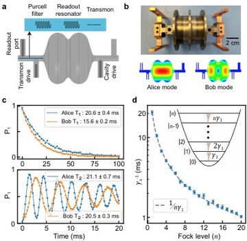 Fig. 1 — Figure 1: Device architecture and coherence properties. a Schematic of the double-cell elliptical SRF cavity with four ports for RF control. Three p…