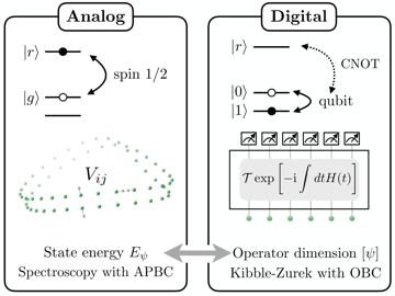 Fig. 1 — Figure 1: Schematic of two routes for probing emergent fermions with Rydberg atom simulators. (Left) In the analog mode, each atom realizes a spin-1…