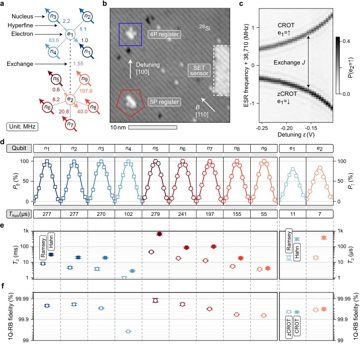 Fig. 1 — Figure 1: Single-qubit characteristics of the 11-qubit atom processor. a, Connectivity of nuclear spins (n1n-n9n) and electron spins (e1e and e2e_{2