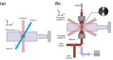Fig. 3 — Figure 3: (Color online) Overview diagram for the tweezer laser setup. (a) Top view of the optical layout. The exciting light, intersects at an angl…