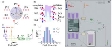 Fig. 1 — Figure 1: Kerr-cat qubit encoding and 2D chip architecture. (a) The Bloch sphere for the Kerr-cat qubit is spanned by the cat states along the x-axi…