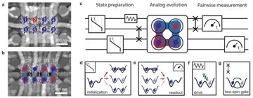 Fig. 1 — Figure 1: Atomic-force microscopy images of the two germanium 2×4 quantum dot devices used in this work. Spins are schematically depicted to highlig…