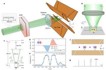 Fig. 1 — Figure 1: Principle of polarization-gradient-based individual addressing. a, An acousto-optic deflector (AOD) is employed in the addressing system t…