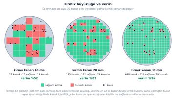 File:Kirmik buyuklugu ve verim tr.svg