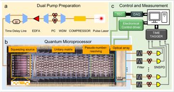 Fig. 2 — Fig. 2: Schematic of a quantum microprocessor chip and experimental setup.a Setup to generate single-mode squeezing using dual pumps from 2-ps laser…