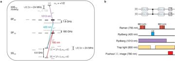 Extended Data Fig. 1 — Extended Data Fig. 1 Atomic-level diagram and pulse sequence.a, Level diagram showing key levels of 87Rb used in our quantum circuits.…