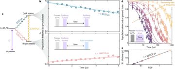 Extended Data Fig. 2 — Extended Data Fig. 2 Rydberg lifetime.a, Pseudo-level diagram of the Rydberg dynamics and associated decay channels. During Rydberg ev…