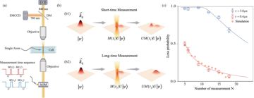 Fig. 1 — Fig. 1: Physical diagram and observation of the Quantum Zeno Effect.a Experimental setup. An 840 nm laser, controlled by an acousto-optic modulator…