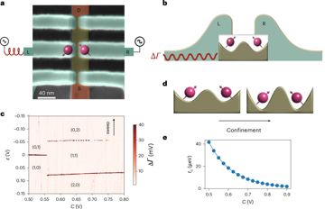 Fig. 1 — Fig. 1: The foundry-fabricated spin qubit unit cell.a, Scanning electron microscopy of the split-gate device with false colours. The silicon channel…
