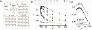 Fig. 3 — NL-based benchmarking using LR-QAOA for WMC problems; (a) QPU layouts used in each experiment