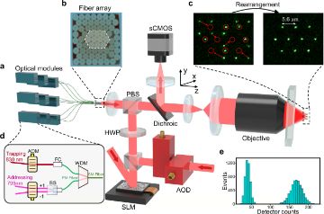 Fig. 1 — Experimental scheme (setup for trapping, rearrangement, manipulation and detection of single-atom arrays; single-shot fluorescence images before/aft…